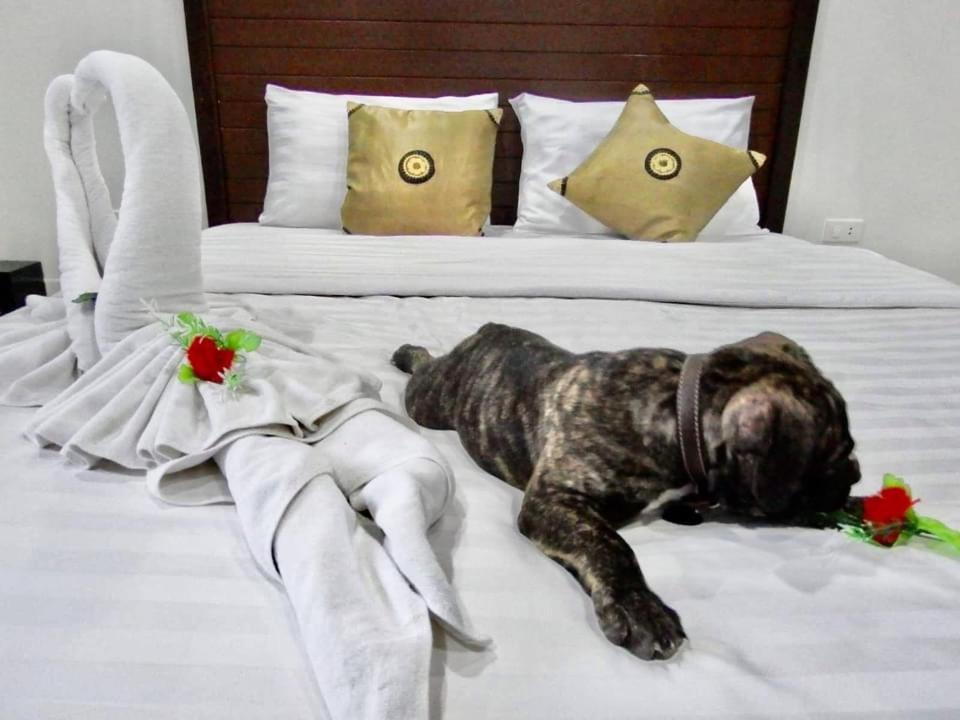 Vivi Boutique Room Hotel Sha Plus Rawai Exterior foto